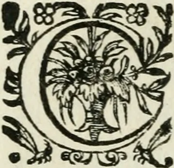 An illustration from La Silvanire, ou, La morte-vive, 1631, leaf 213