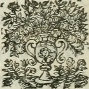 An illustration from La Silvanire, ou, La morte-vive, 1631, leaf 313
