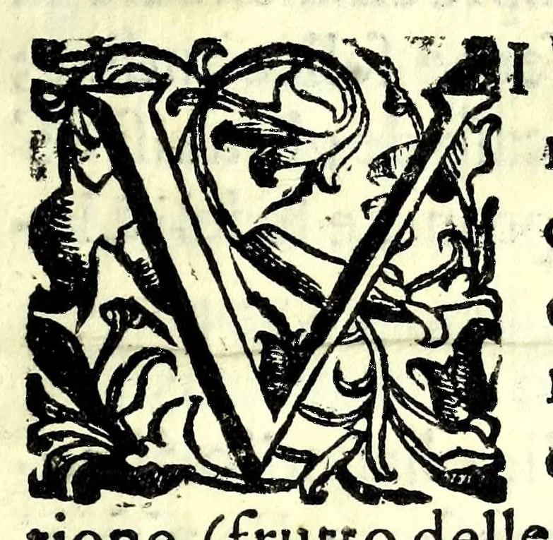 An illustration from La simmetria dell'ottima fortificatione regolare, 1630, leaf 107