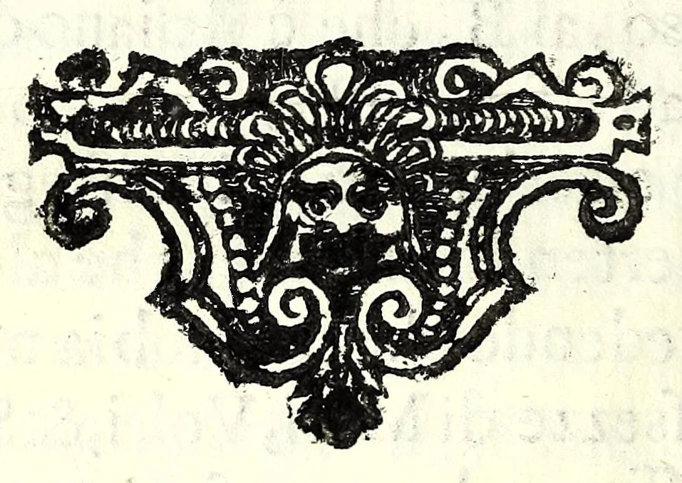 An illustration from La simmetria dell'ottima fortificatione regolare, 1630, leaf 96