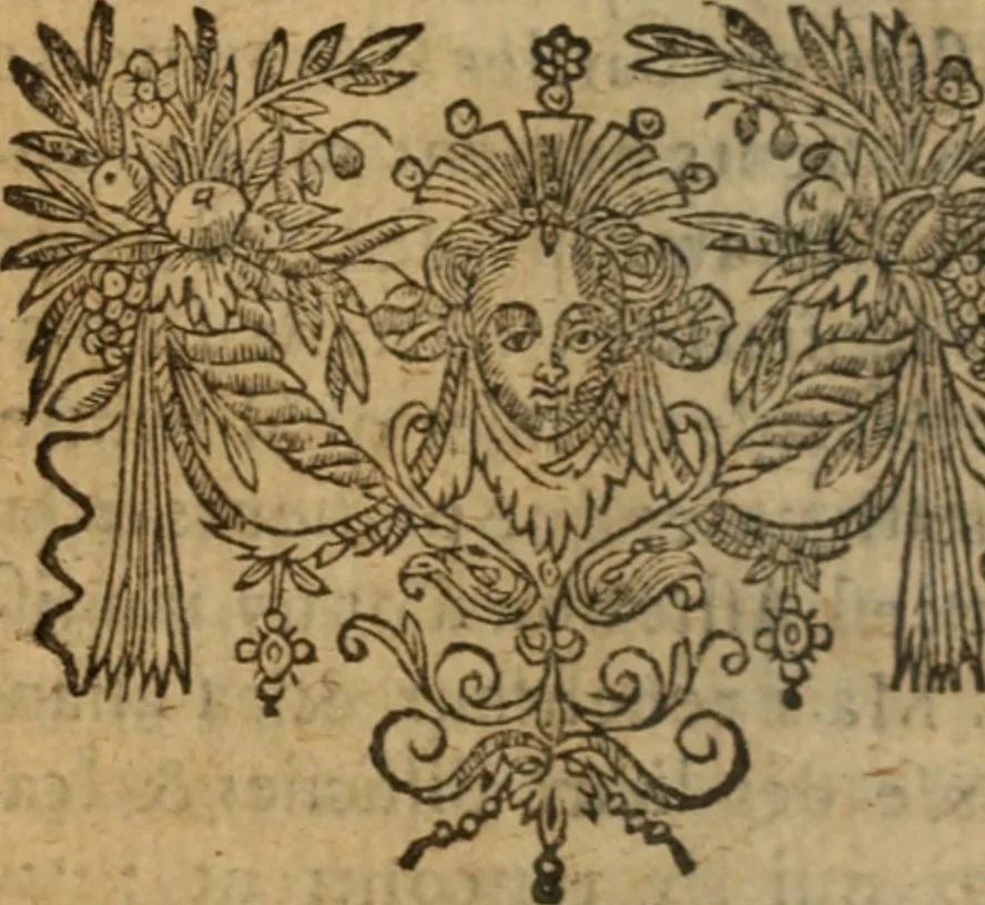 An illustration from L'asne d'or; ov, Les metamorphoses. Illvstré de commentaires apposez au bout de chasque liure, qui facilitent l'intention de l'auteur .., 1616, leaf 17