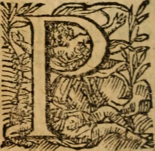 An illustration from L'asne d'or; ov, Les metamorphoses. Illvstré de commentaires apposez au bout de chasque liure, qui facilitent l'intention de l'auteur .., 1616, leaf 355