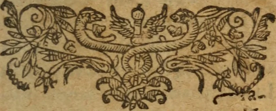 An illustration from L'asne d'or; ov, Les metamorphoses. Illvstré de commentaires apposez au bout de chasque liure, qui facilitent l'intention de l'auteur .., 1616, leaf 4
