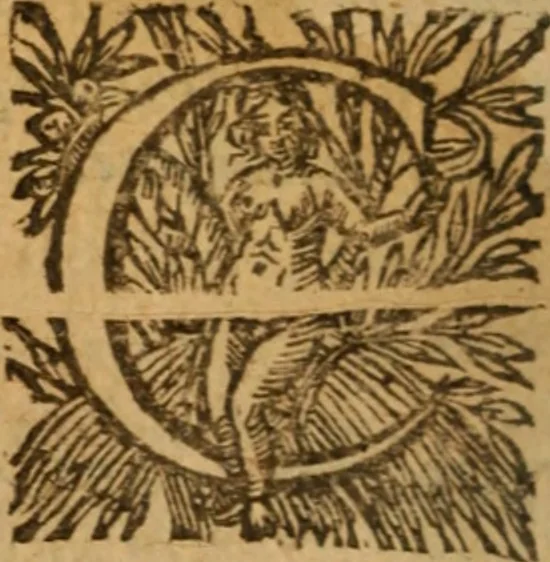 An illustration from L'asne d'or; ov, Les metamorphoses. Illvstré de commentaires apposez au bout de chasque liure, qui facilitent l'intention de l'auteur .., 1616, leaf 499