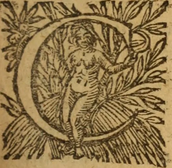 An illustration from L'asne d'or; ov, Les metamorphoses. Illvstré de commentaires apposez au bout de chasque liure, qui facilitent l'intention de l'auteur .., 1616, leaf 566