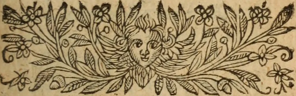 An illustration from L'asne d'or; ov, Les metamorphoses. Illvstré de commentaires apposez au bout de chasque liure, qui facilitent l'intention de l'auteur .., 1616, leaf 768