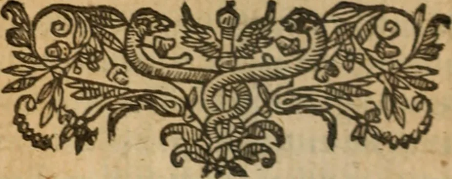 An illustration from L'asne d'or; ov, Les metamorphoses. Illvstré de commentaires apposez au bout de chasque liure, qui facilitent l'intention de l'auteur .., 1616, leaf 953