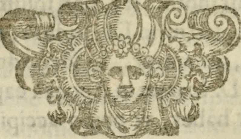 An illustration from La solenne et trionfante entrata dell'illustrissimo & reuerendissimo vescouo monsignor Gio. Battista Biglio nell'antichissima & regal città di Pauia : con le allegrezze & archi, con le historie, imprese, emblemi, simboli, gieroglifici, imagini, iscrittioni, versi, sentenze, & motti, 1609, leaf 101