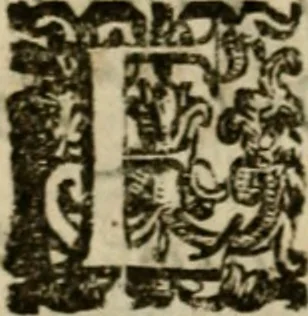 An illustration from La solenne et trionfante entrata dell'illustrissimo & reuerendissimo vescouo monsignor Gio. Battista Biglio nell'antichissima & regal città di Pauia : con le allegrezze & archi, con le historie, imprese, emblemi, simboli, gieroglifici, imagini, iscrittioni, versi, sentenze, & motti, 1609, leaf 13