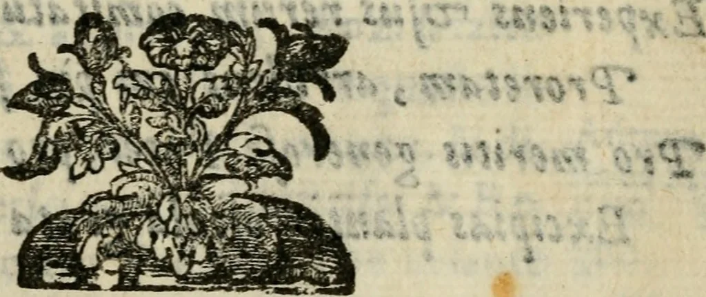 An illustration from La solenne et trionfante entrata dell'illustrissimo & reuerendissimo vescouo monsignor Gio. Battista Biglio nell'antichissima & regal città di Pauia : con le allegrezze & archi, con le historie, imprese, emblemi, simboli, gieroglifici, imagini, iscrittioni, versi, sentenze, & motti, 1609, leaf 146