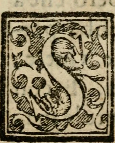 An illustration from La solenne et trionfante entrata dell'illustrissimo & reuerendissimo vescouo monsignor Gio. Battista Biglio nell'antichissima & regal città di Pauia : con le allegrezze & archi, con le historie, imprese, emblemi, simboli, gieroglifici, imagini, iscrittioni, versi, sentenze, & motti, 1609, leaf 6