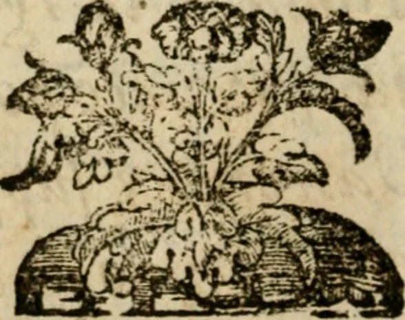An illustration from La solenne et trionfante entrata dell'illustrissimo & reuerendissimo vescouo monsignor Gio. Battista Biglio nell'antichissima & regal città di Pauia : con le allegrezze & archi, con le historie, imprese, emblemi, simboli, gieroglifici, imagini, iscrittioni, versi, sentenze, & motti, 1609, leaf 9