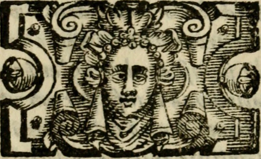 An illustration from La solenne et trionfante entrata dell'illustrissimo & reuerendissimo vescouo monsignor Gio. Battista Biglio nell'antichissima & regal città di Pauia : con le allegrezze & archi, con le historie, imprese, emblemi, simboli, gieroglifici, imagini, iscrittioni, versi, sentenze, & motti, 1609, leaf 91