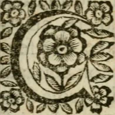 An illustration from La spada di honore : libro primo delle Osseruazioni caualeresche, 1672, leaf 180