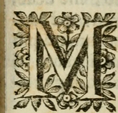 An illustration from La spada di honore : libro primo delle Osseruazioni caualeresche, 1672, leaf 244
