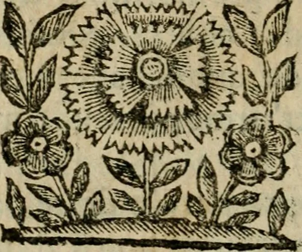 An illustration from La spada di honore : libro primo delle Osseruazioni caualeresche, 1672, leaf 339