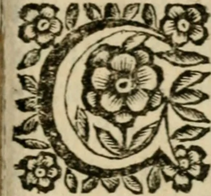 An illustration from La spada di honore : libro primo delle Osseruazioni caualeresche, 1672, leaf 342
