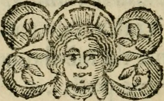 An illustration from La spada di honore : libro primo delle Osseruazioni caualeresche, 1672, leaf 39