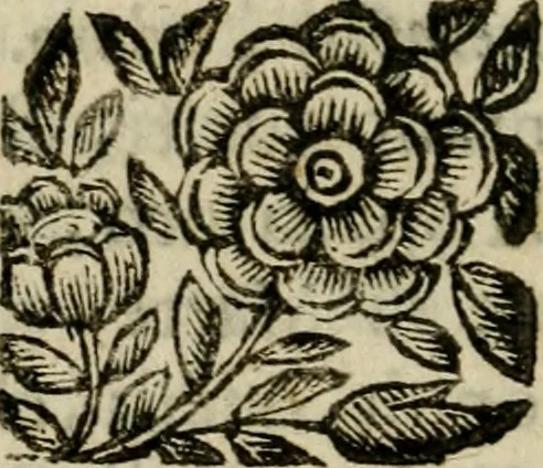 An illustration from La spada di honore : libro primo delle Osseruazioni caualeresche, 1672, leaf 443