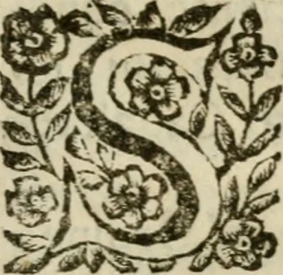 An illustration from La spada di honore : libro primo delle Osseruazioni caualeresche, 1672, leaf 54
