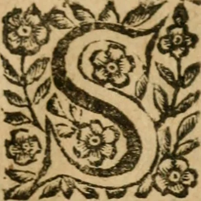 An illustration from La spada di honore : libro primo delle Osseruazioni caualeresche, 1672, leaf 6