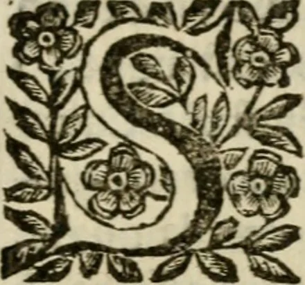 An illustration from La spada di honore : libro primo delle Osseruazioni caualeresche, 1672, leaf 90