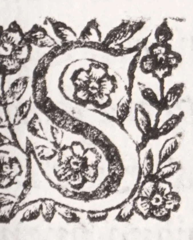 An illustration from La spada di honore : libro primo delle Osseruazioni caualeresche, 1671, leaf 11