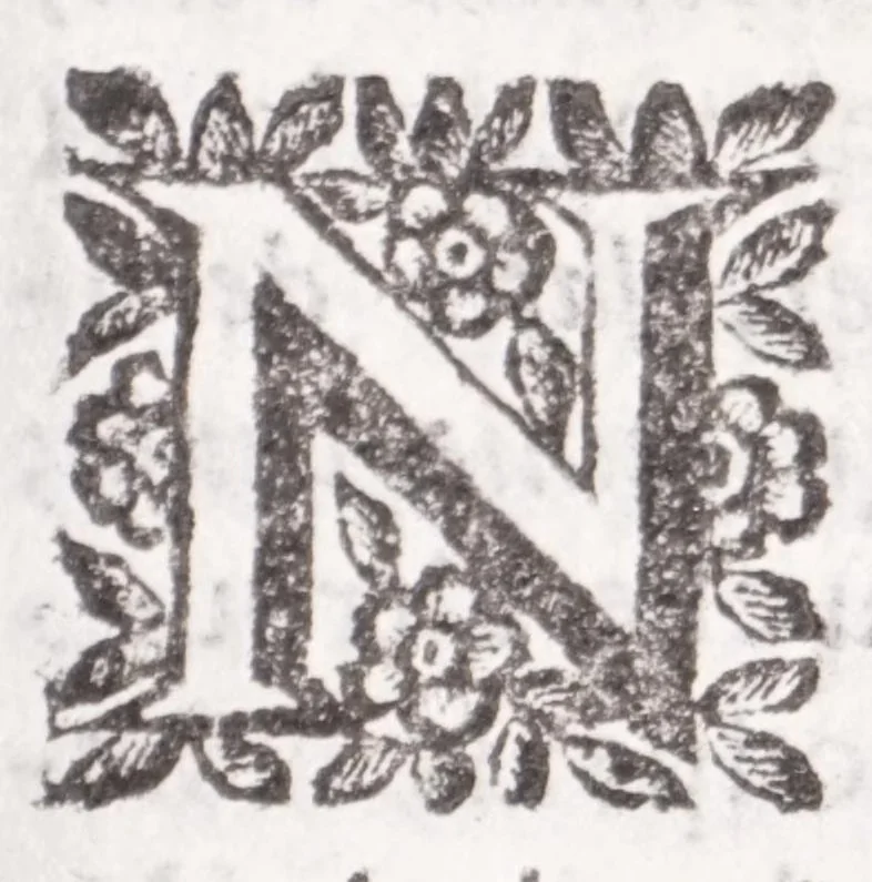 An illustration from La spada di honore : libro primo delle Osseruazioni caualeresche, 1671, leaf 133