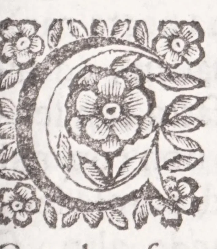 An illustration from La spada di honore : libro primo delle Osseruazioni caualeresche, 1671, leaf 185