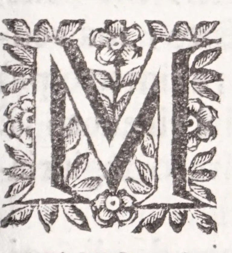 An illustration from La spada di honore : libro primo delle Osseruazioni caualeresche, 1671, leaf 249