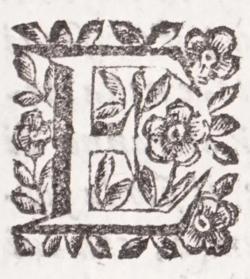 An illustration from La spada di honore : libro primo delle Osseruazioni caualeresche, 1671, leaf 25