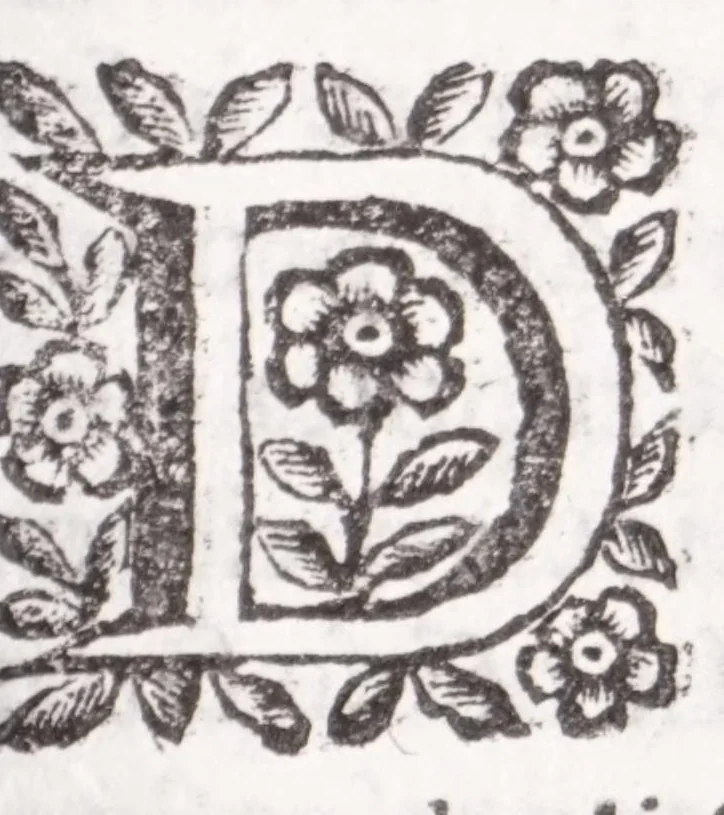 An illustration from La spada di honore : libro primo delle Osseruazioni caualeresche, 1671, leaf 299
