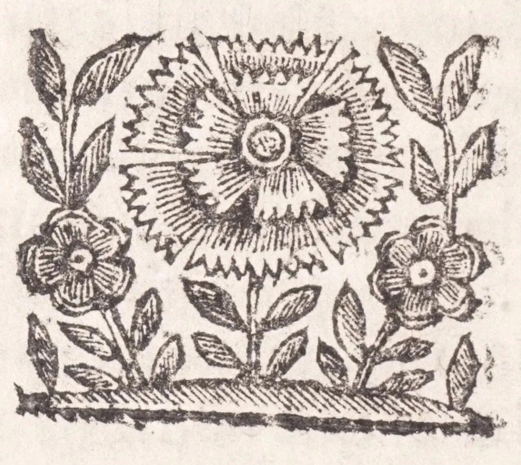 An illustration from La spada di honore : libro primo delle Osseruazioni caualeresche, 1671, leaf 344