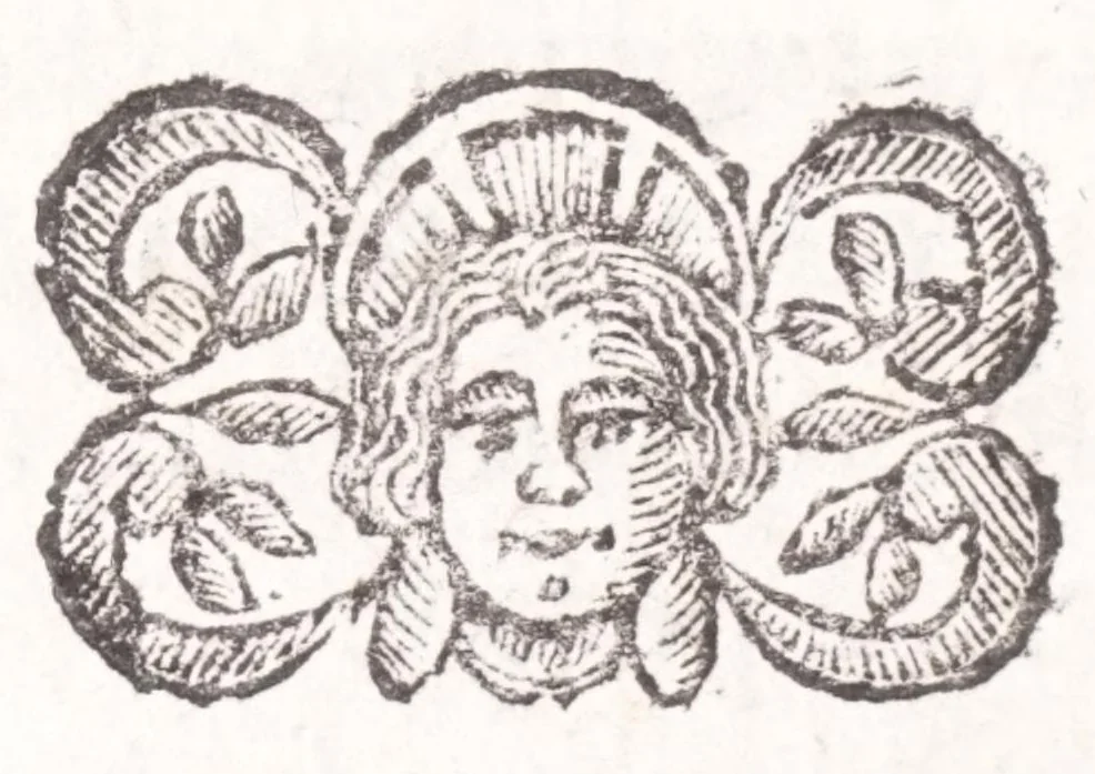 An illustration from La spada di honore : libro primo delle Osseruazioni caualeresche, 1671, leaf 44