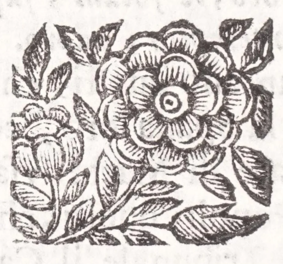 An illustration from La spada di honore : libro primo delle Osseruazioni caualeresche, 1671, leaf 448