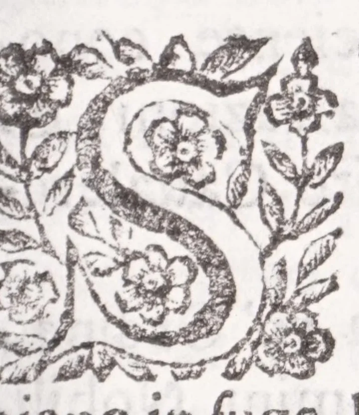 An illustration from La spada di honore : libro primo delle Osseruazioni caualeresche, 1671, leaf 59