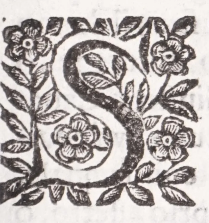 An illustration from La spada di honore : libro primo delle Osseruazioni caualeresche, 1671, leaf 95