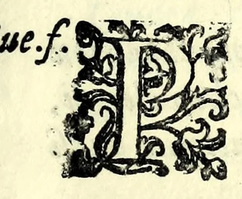 An illustration from La spina : comedia, 1592, leaf 29