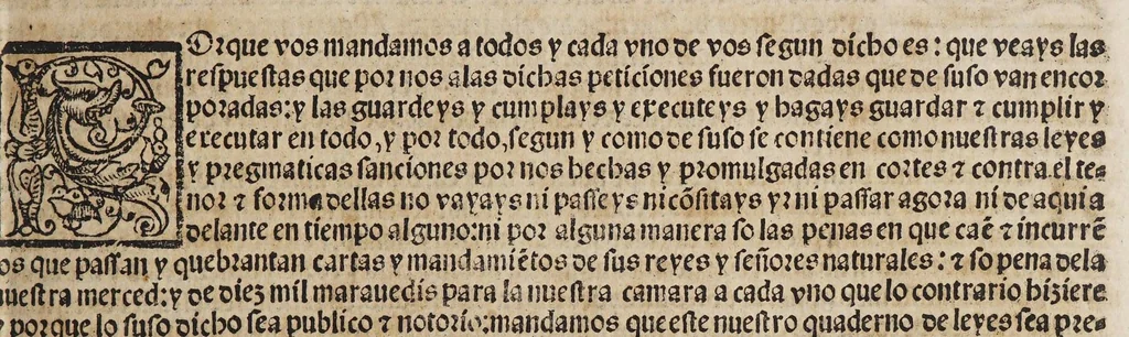 An illustration from Las pregmaticas y capitulos que Su Magestad del emperador y rey nuestro señor hizo en las cortes de Ualladolid, el año de mil [y] quinientos [y] treynta y siete. : Con la declaracion que sobre los trajes y sedas hizo., 1545, leaf 39