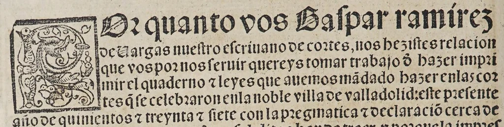 An illustration from Las pregmaticas y capitulos que Su Magestad del emperador y rey nuestro señor hizo en las cortes de Ualladolid, el año de mil [y] quinientos [y] treynta y siete. : Con la declaracion que sobre los trajes y sedas hizo., 1545, leaf 8