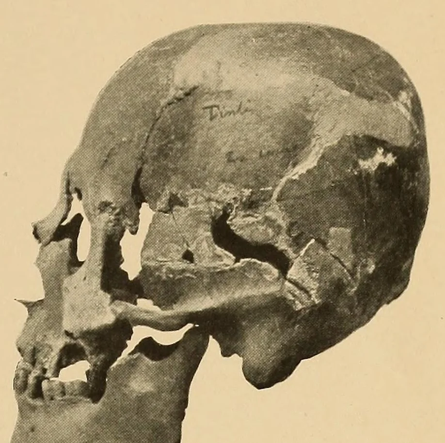 An illustration from Las ruinas de Tinti en el valle de Lerma (provincia de Salta), 1916, leaf 31