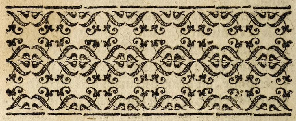 An illustration from L'assassinat et parricide commis en la personne du treschrestien, & tresillustre roy de France & de Pologne, Henry troisiesme du nom. Avec la coppie des lettres de Sa Majesté, escrittes au comte de Montbeliart depuis sa blessure., 1589, leaf 20