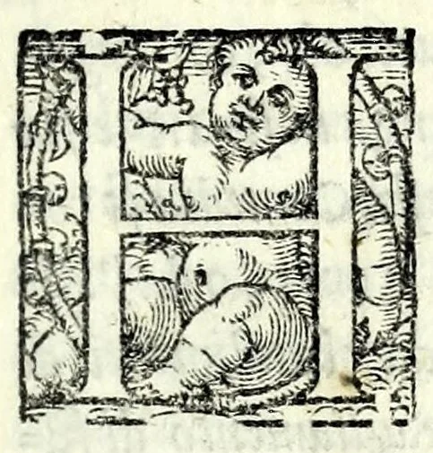 An illustration from L'assivolo : comedia, 1550, leaf 7