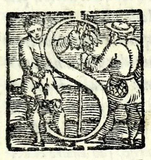 An illustration from L'assivolo : comedia, 1550, leaf 9