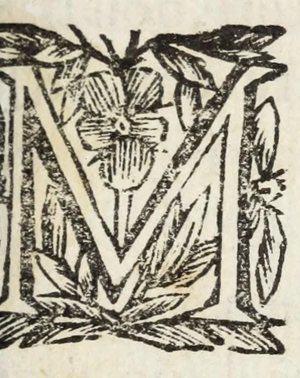 An illustration from La statua equestre di Luigi XIV, rè di Francia, di Nauarra &c., l'adeodato, il conquistatore : scoltura del caualier Gio. Lorenzo Bernino : panegirico a S.M. cristianissima, 1679, leaf 7