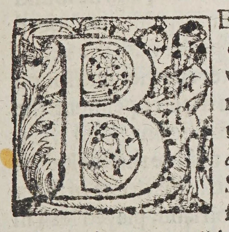 An illustration from The last East-Indian voyage. : Containing much varietie of the state of the seuerall kingdomes where they haue traded: with the letters of three seuerall kings to the Kings Maiestie of England,, 1606, leaf 13