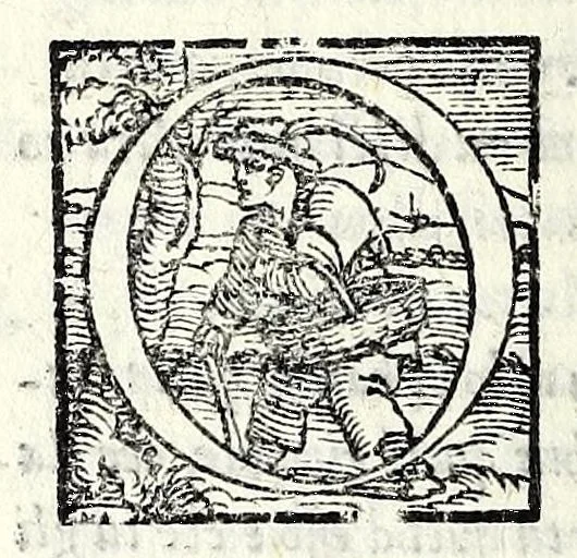 An illustration from La stiava : comedia, 1550, leaf 34