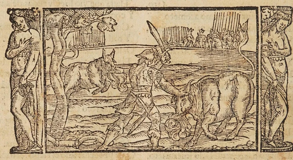 An illustration from Las transformaciones de Ouidio, 1589, leaf 174