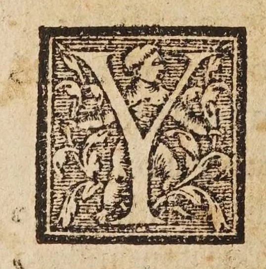 An illustration from Las transformaciones de Ouidio, 1589, leaf 174