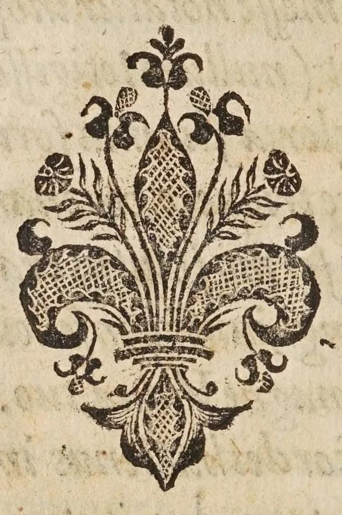 An illustration from Las transformaciones de Ouidio, 1589, leaf 18